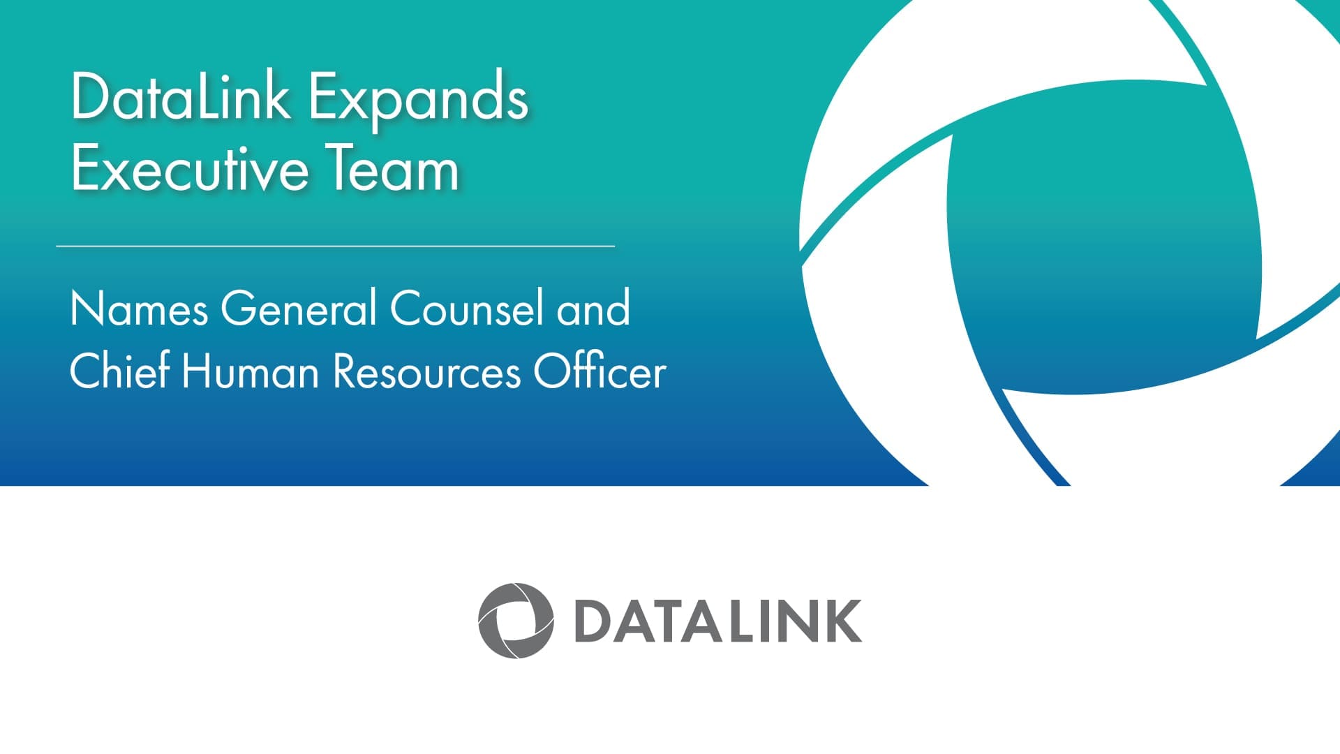 DataLink expands executive team